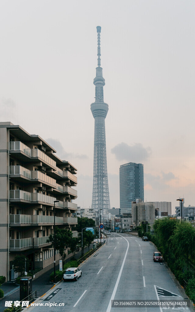 城市街道旁的高聳電視塔