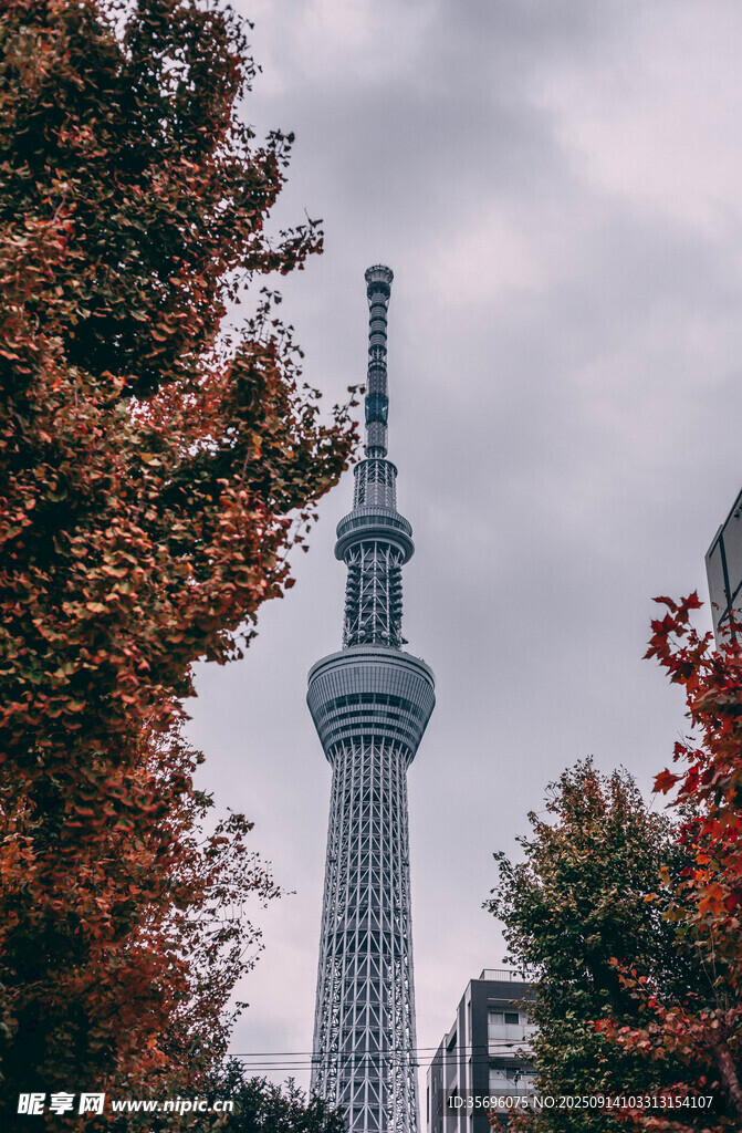 秋日中的東京晴空塔