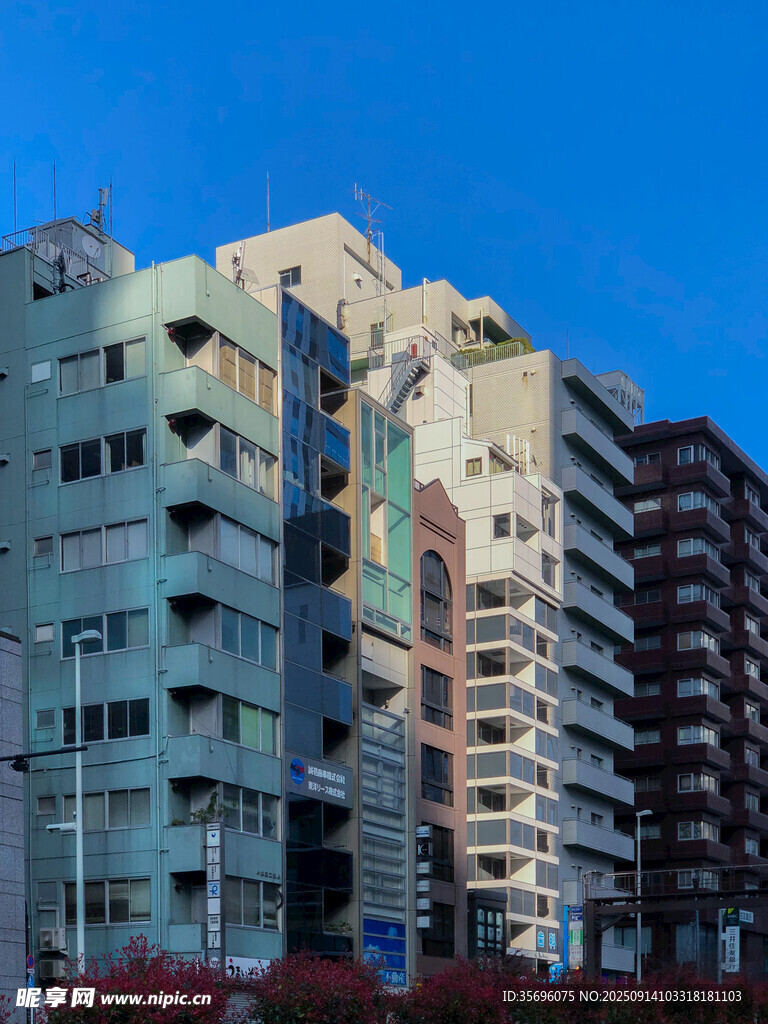 城市中錯落的現(xiàn)代建筑群