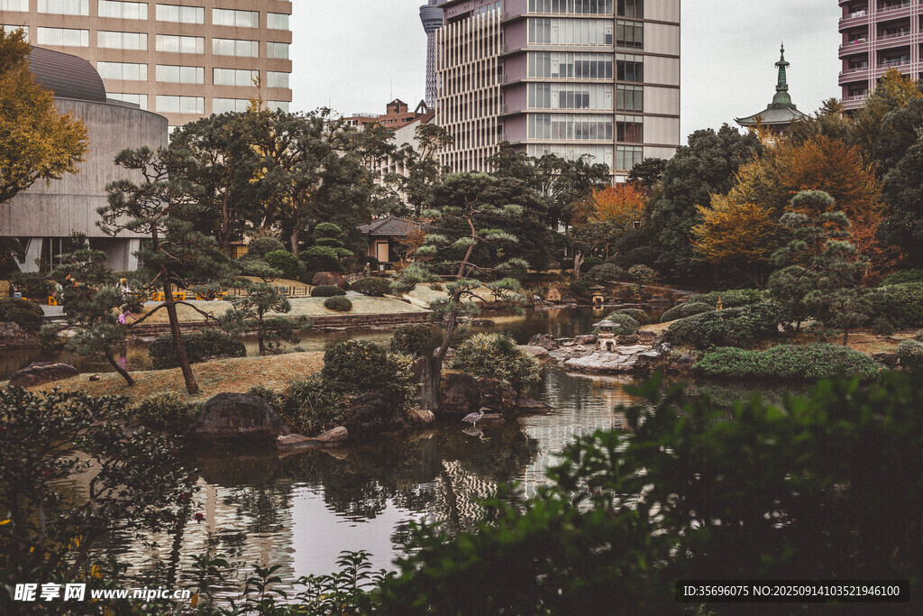 城市中的靜謐日式園林景觀