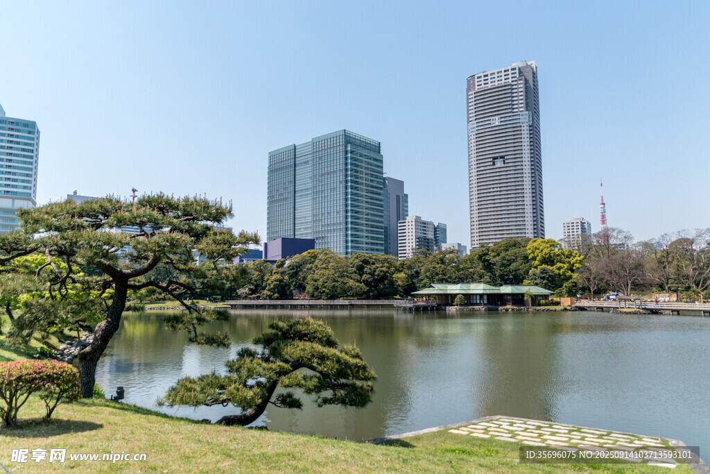 城市湖畔的自然與建筑景觀