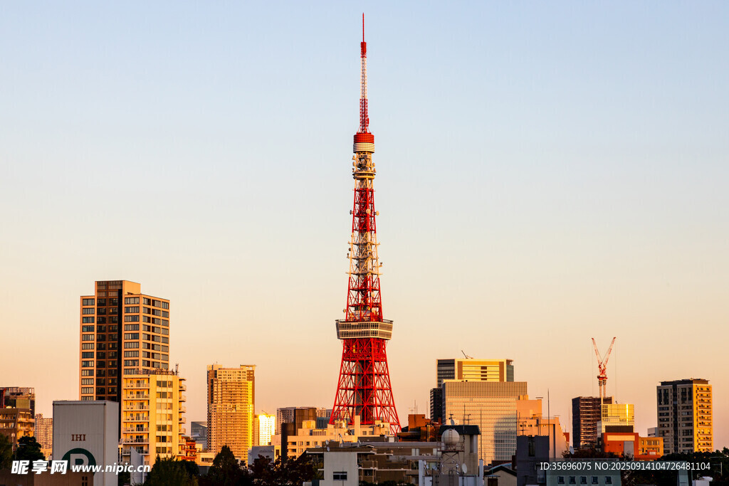 東京塔下的城市天際線