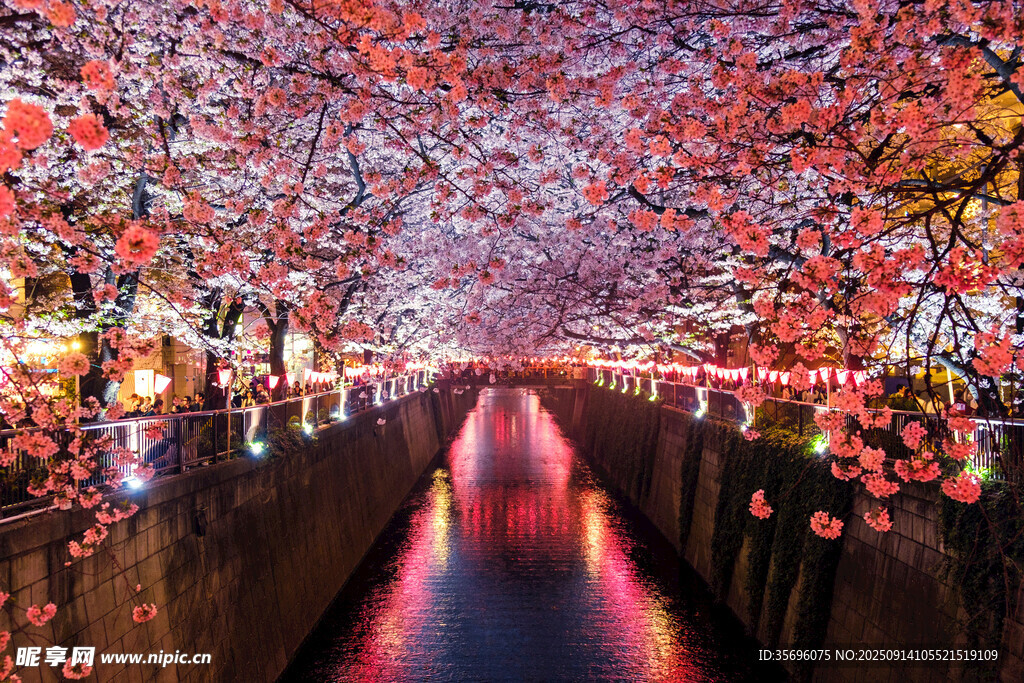 日本東京