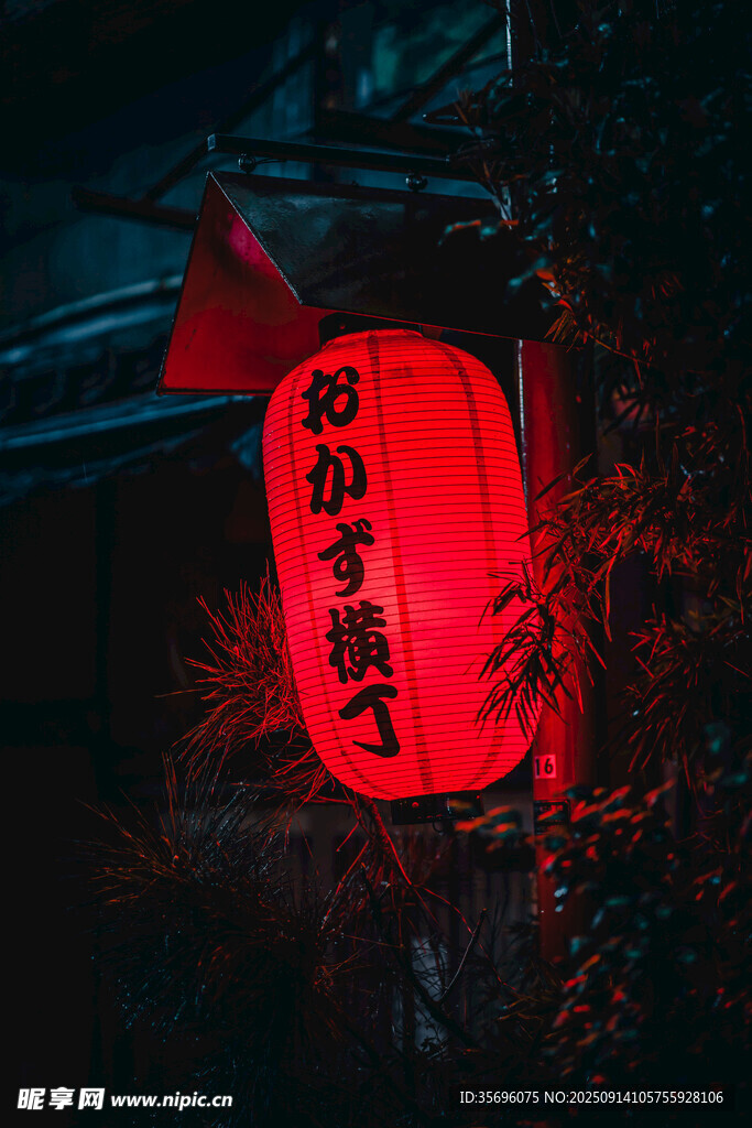 紅燈籠映照夜色