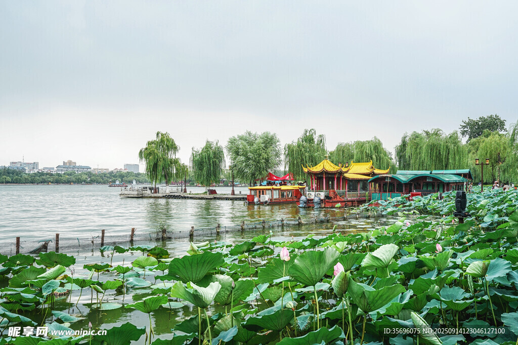湖畔荷塘小船美景如畫(huà)