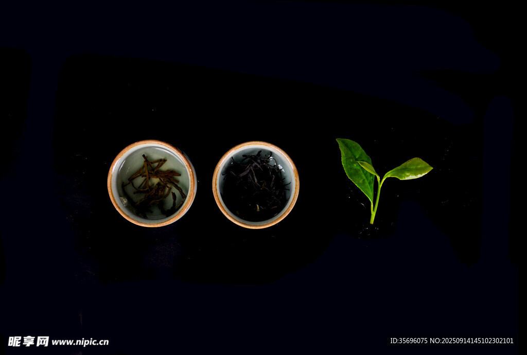 植物主題創(chuàng)意戒指飾品