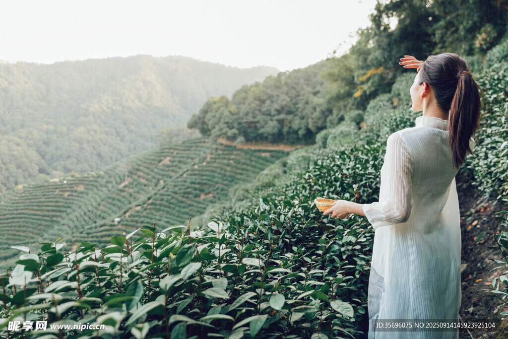 女子賞茶園美景