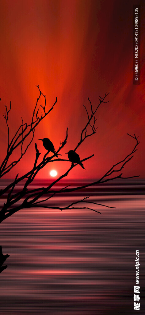 夕陽(yáng)下的枯樹(shù)與水面飛鳥(niǎo)