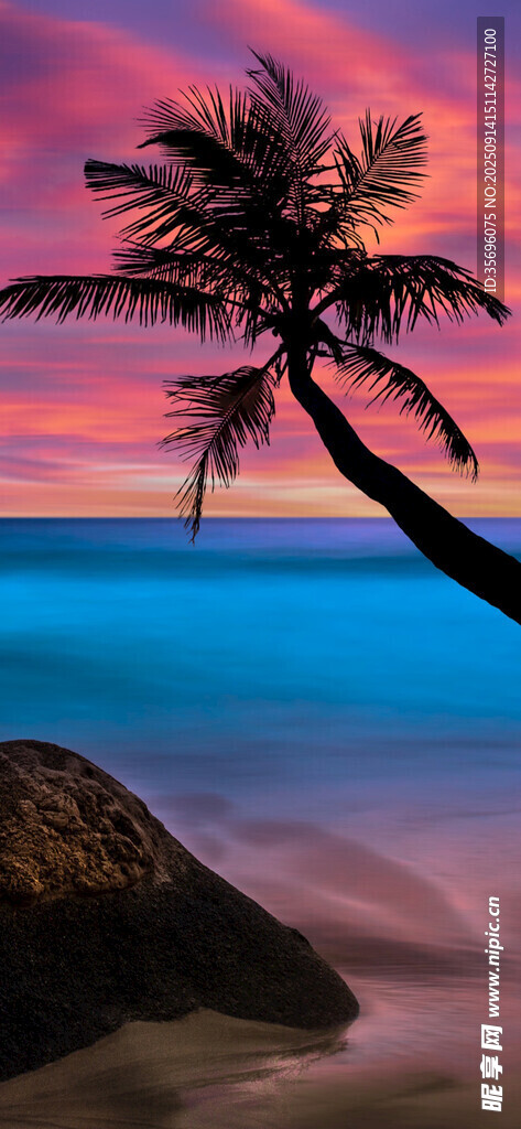 海邊椰樹夕陽美景