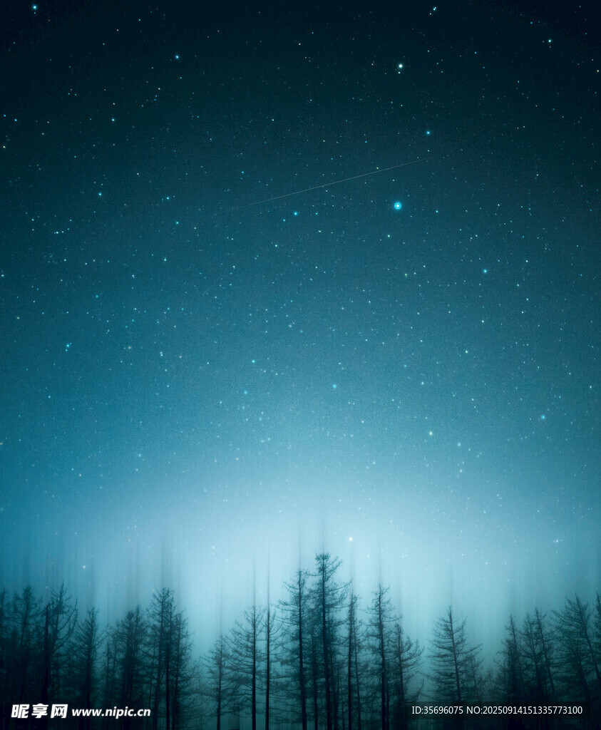 夜空下的靜謐森林