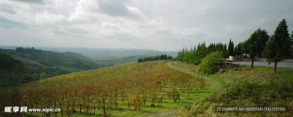 田園風(fēng)光美景