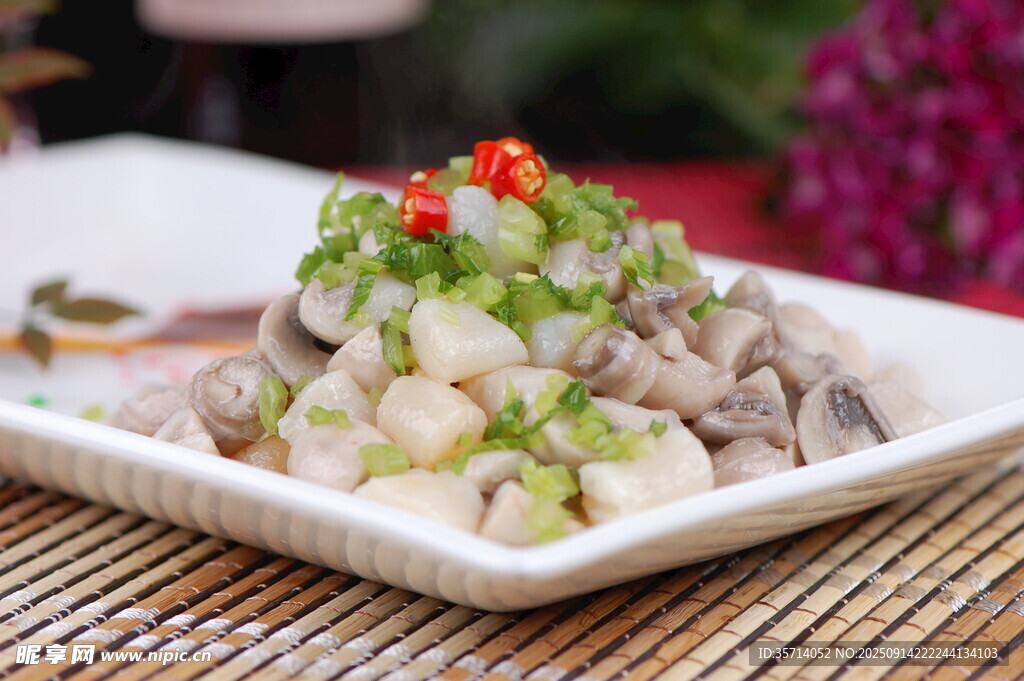 雪清草菇貝