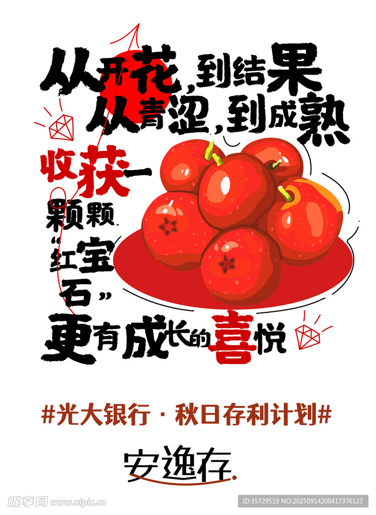 酸甜多汁的紅肉火龍果