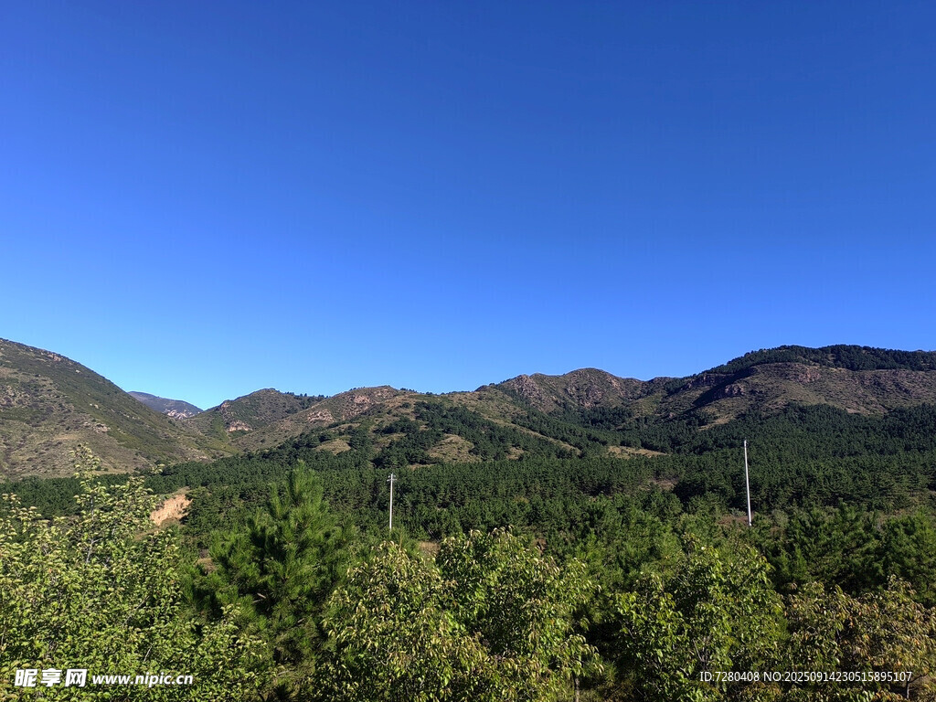 青山綠樹間的開闊景致