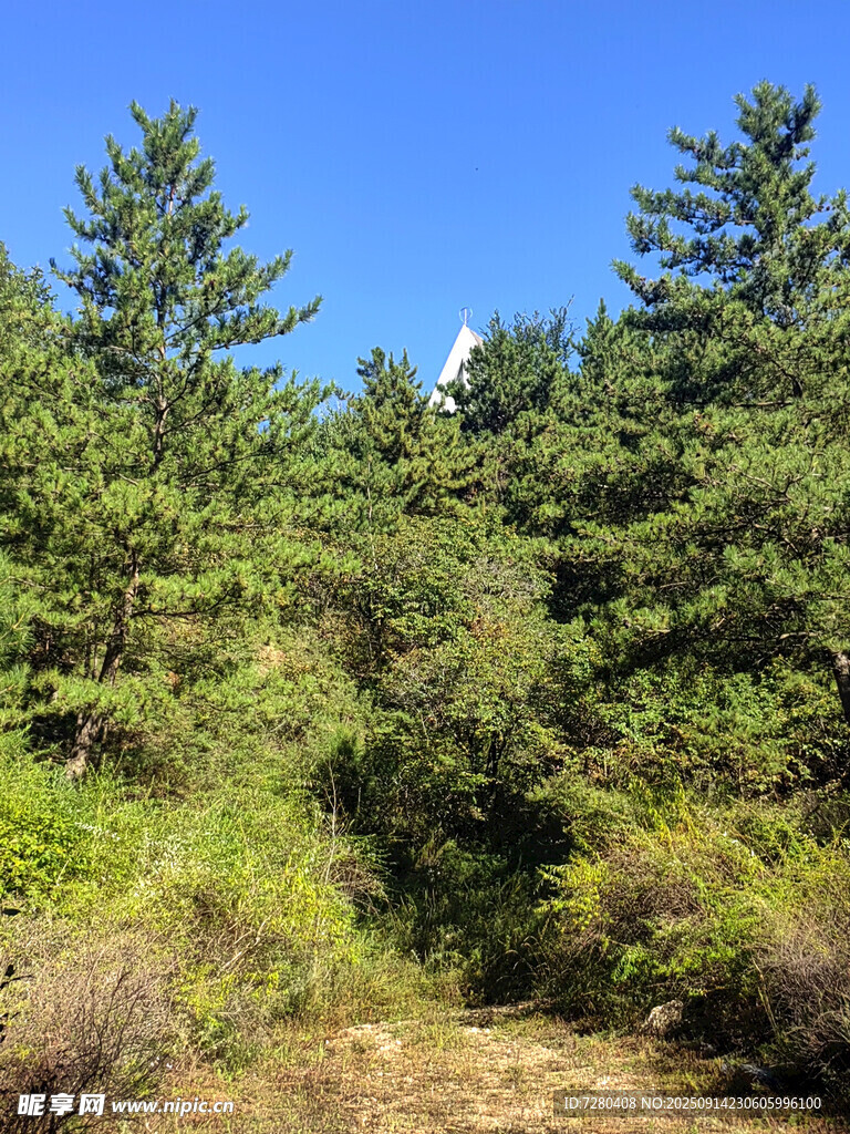 山林綠意盎然的自然景致