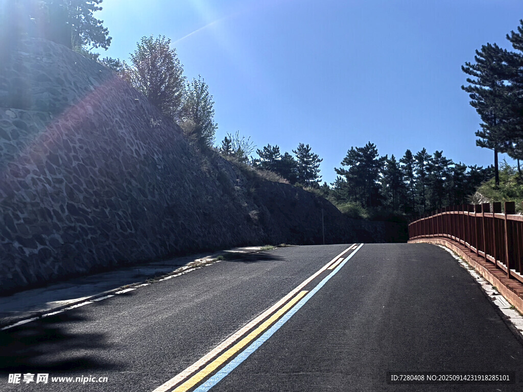 蜿蜒公路伴綠樹藍天