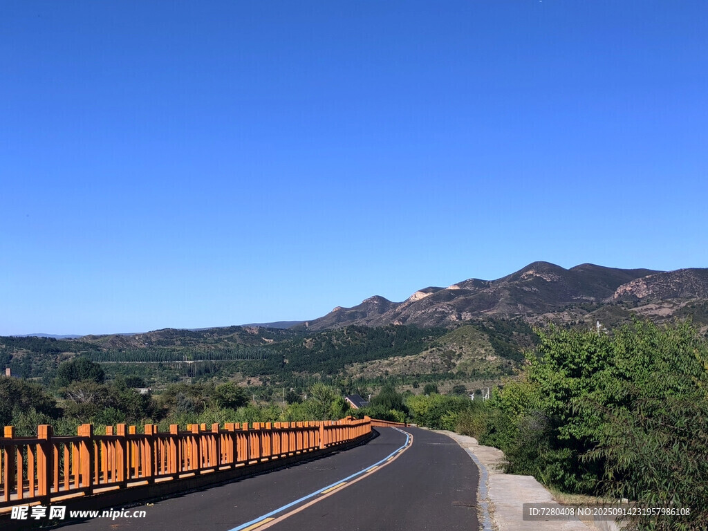 蜿蜒公路旁的青山綠樹