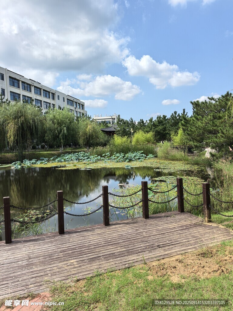 湖畔園林景觀寧靜美好