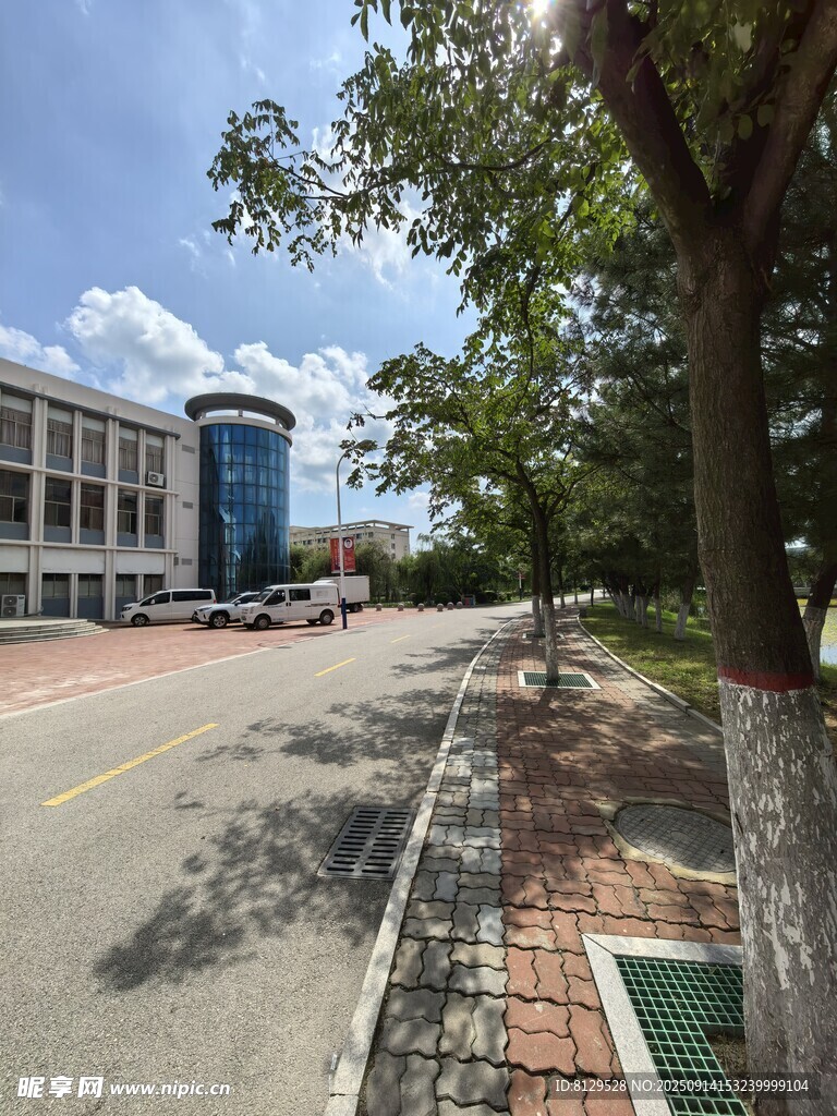 校園道路旁的建筑與綠樹