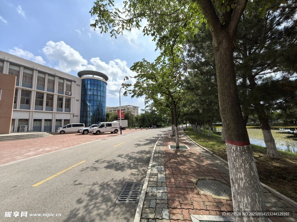 校園道路旁的建筑景觀
