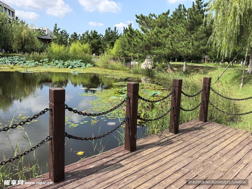 湖畔木棧道風(fēng)景