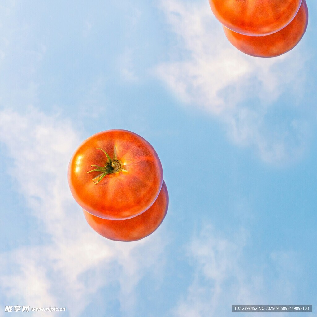 空中懸浮的鮮艷西紅柿