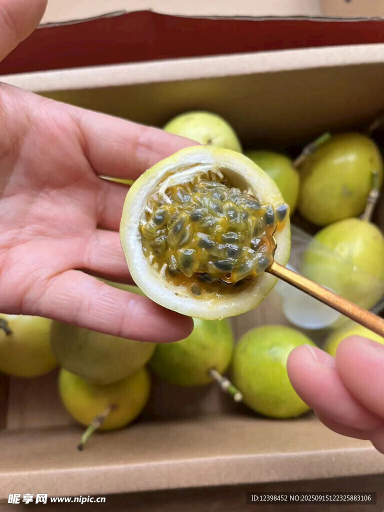 手持百香果果肉特寫