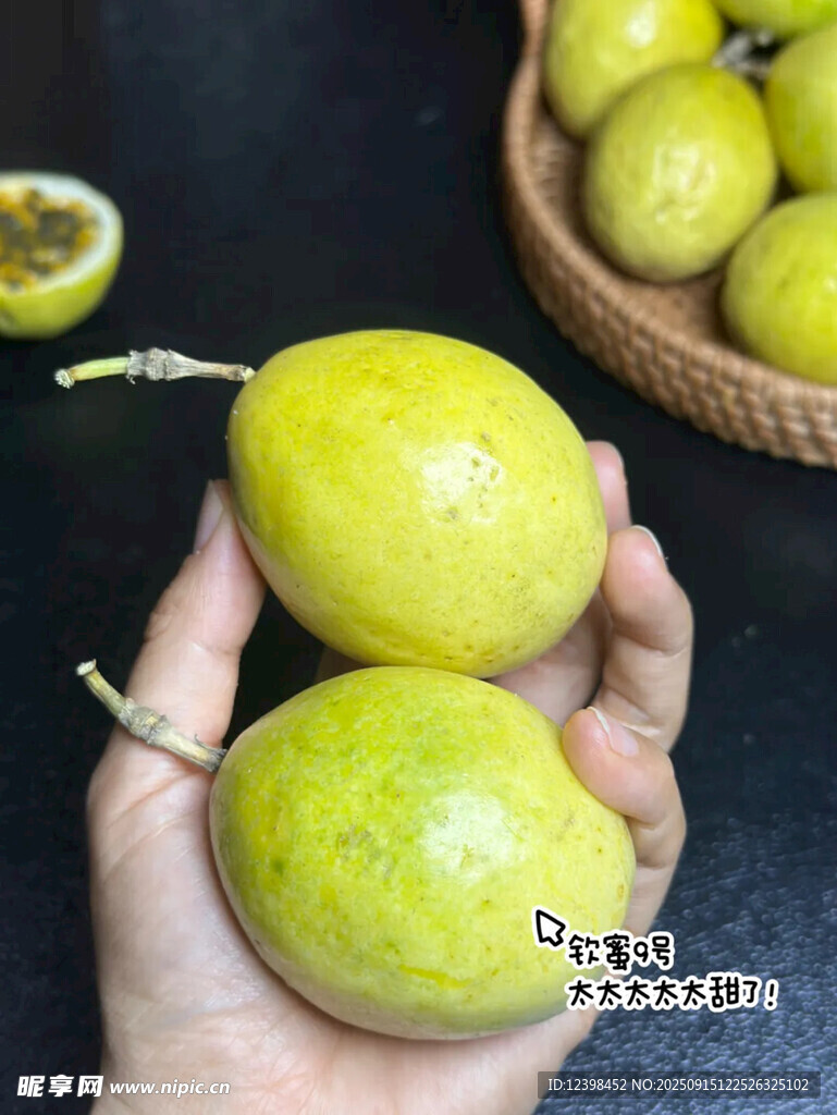 手捧新鮮黃金百香果