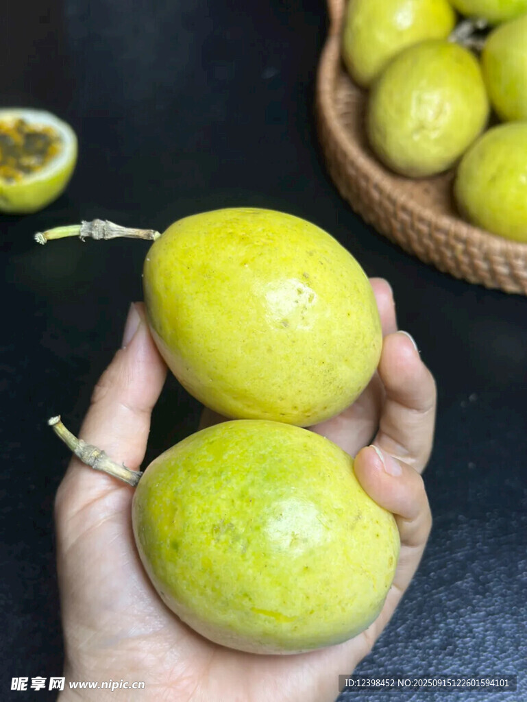 手捧新鮮黃金百香果
