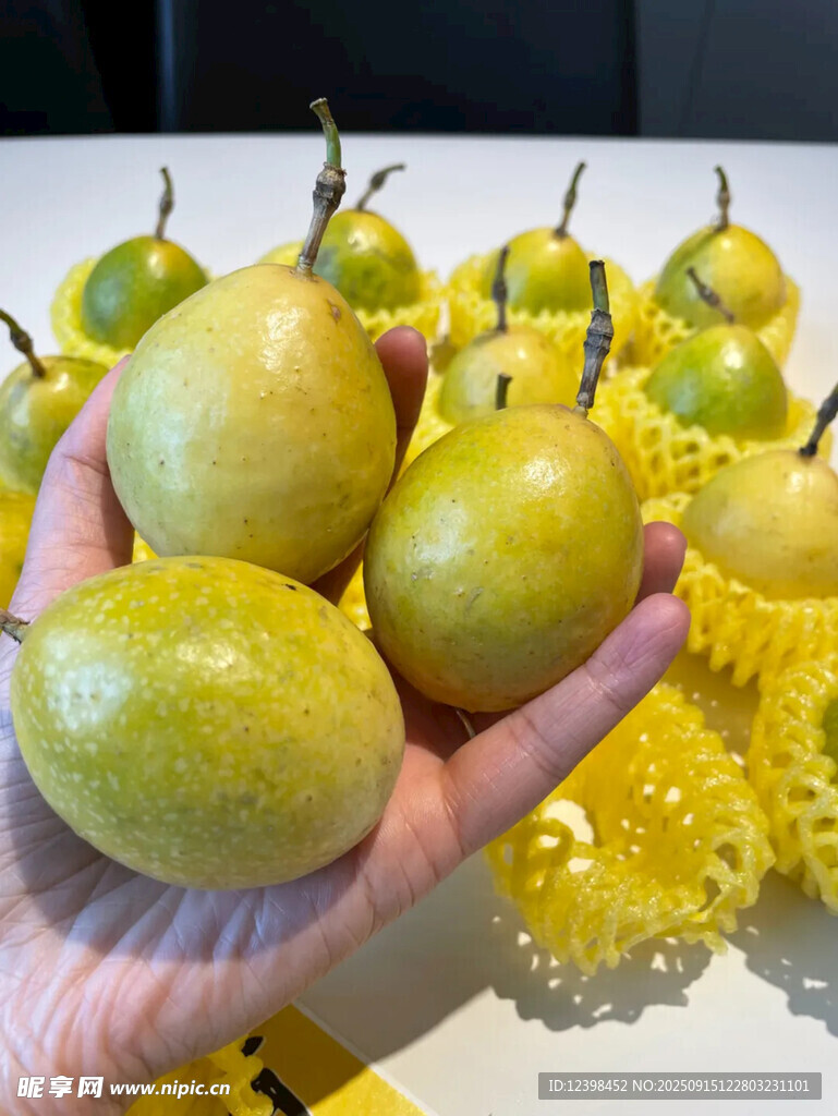 手捧新鮮百香果