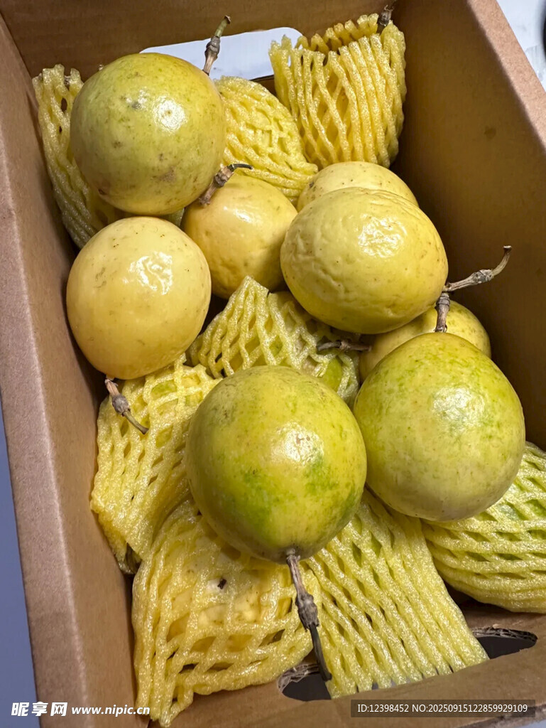 盒裝黃金百香果