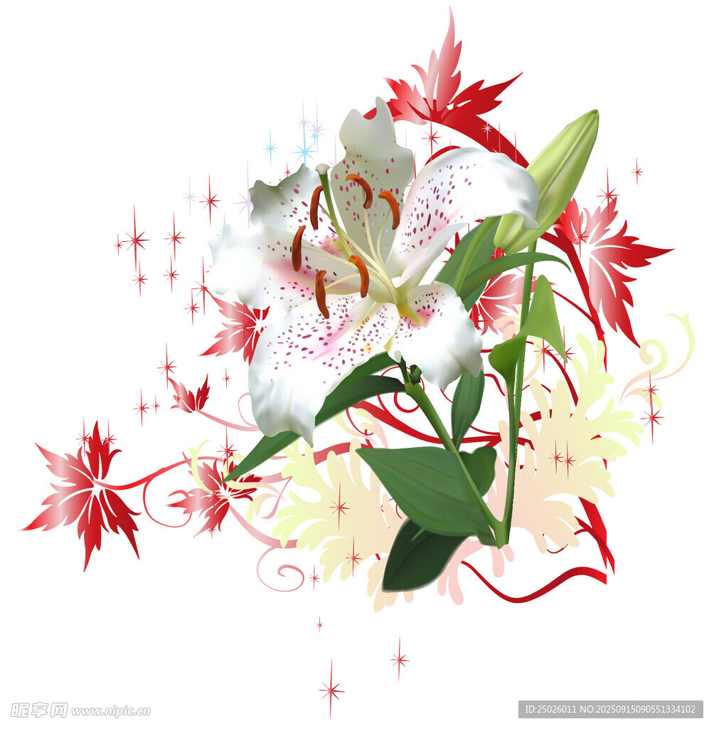 夢(mèng)幻花卉裝飾圖案