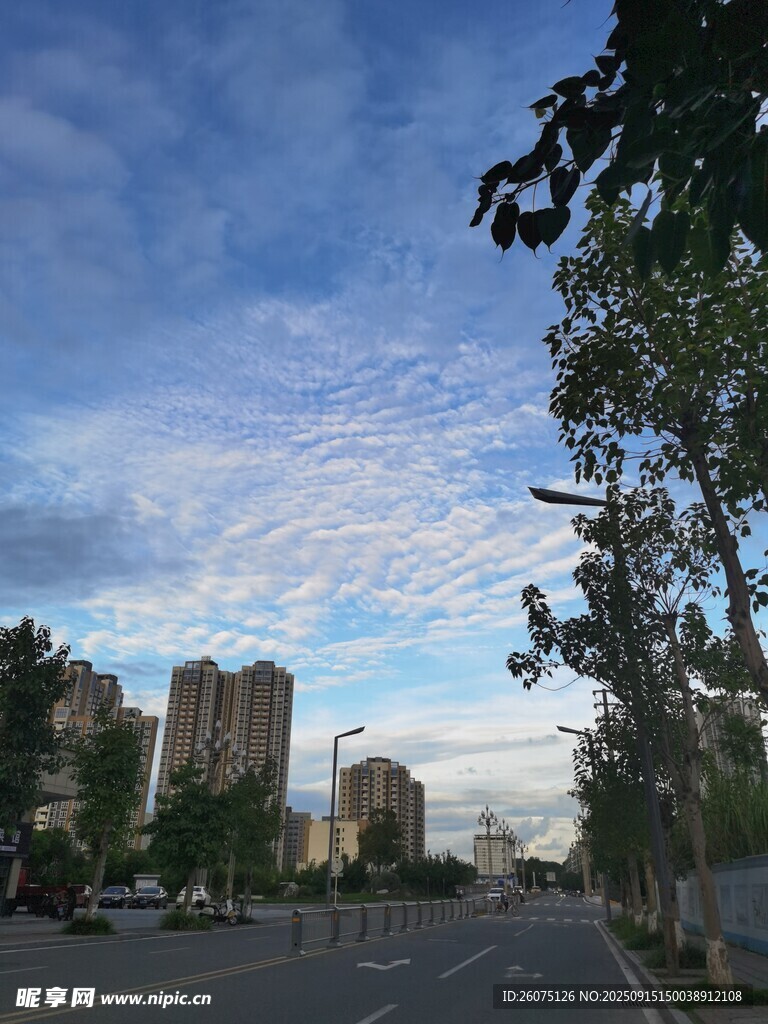 城市街道的藍(lán)天綠樹景觀