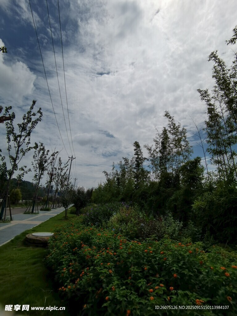 戶外綠意盎然的自然景觀