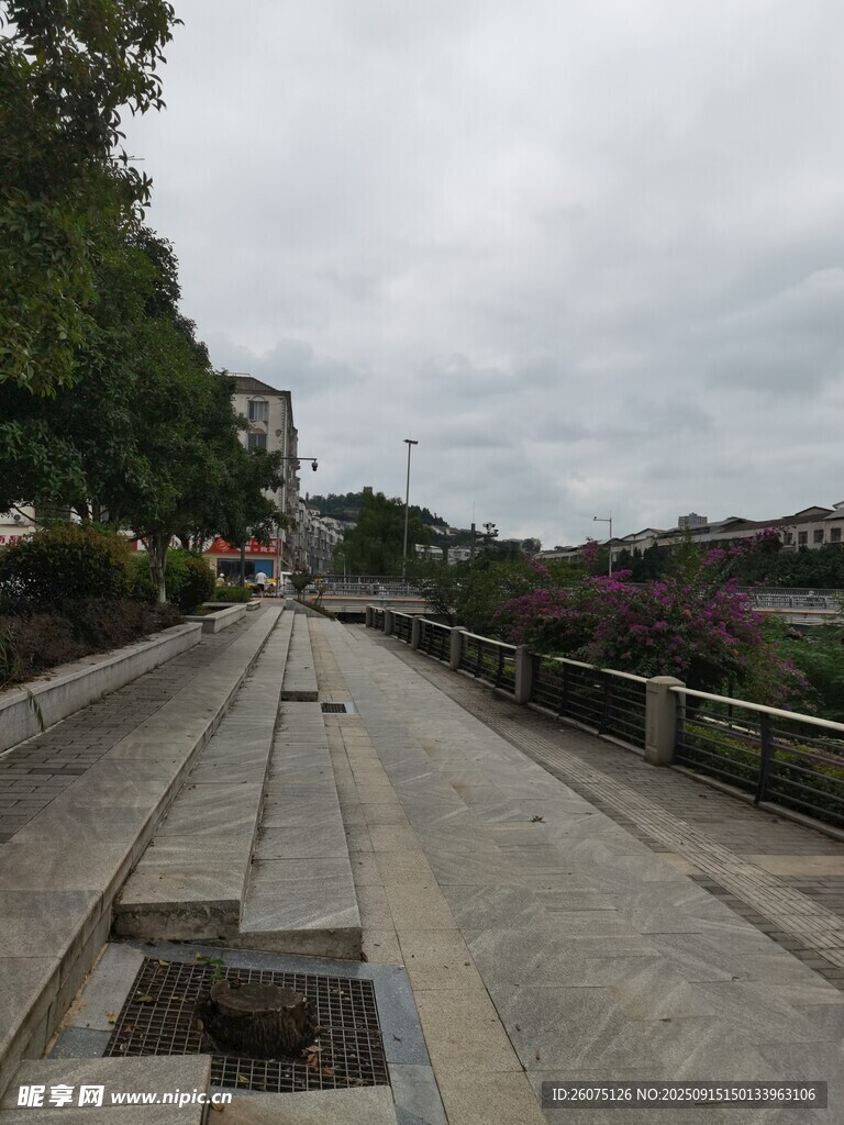 空曠道路旁綠植相伴