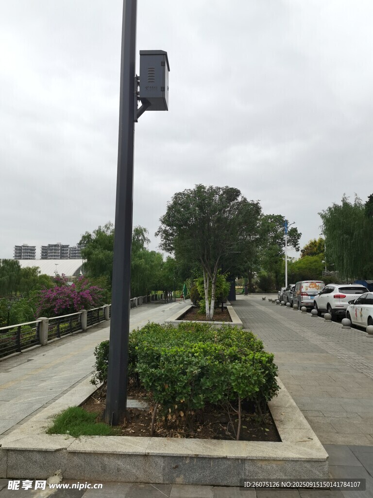 停車場旁的綠化景觀