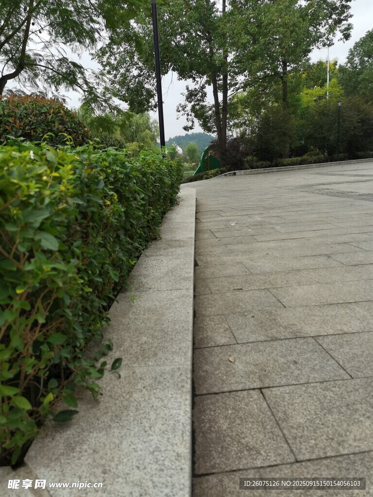 路邊綠植與石板路景觀