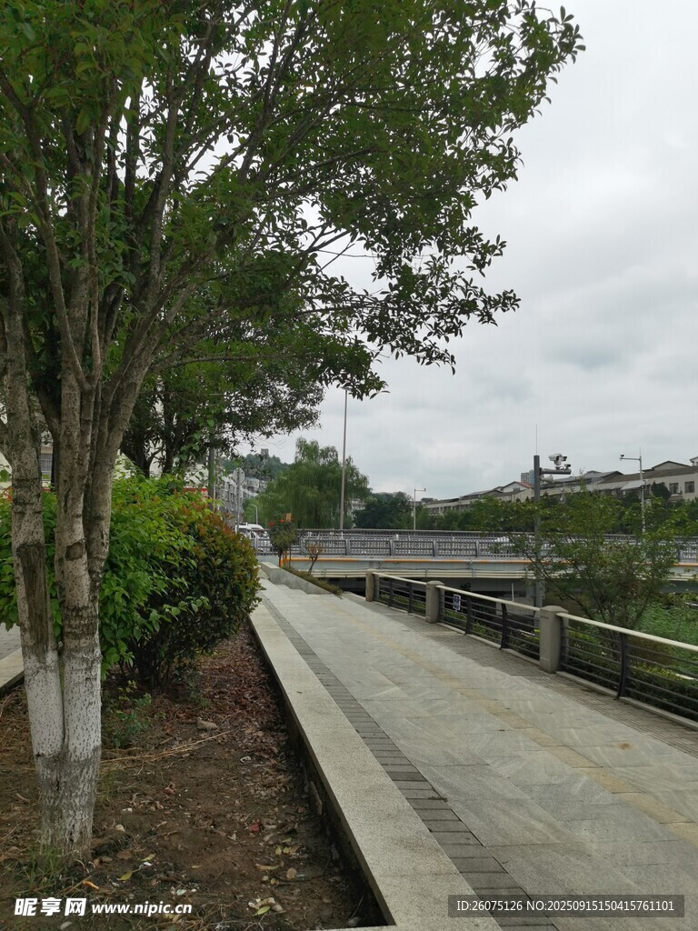 城市林蔭步道景觀