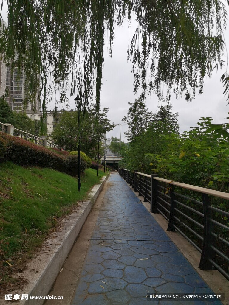城市林蔭步道景觀