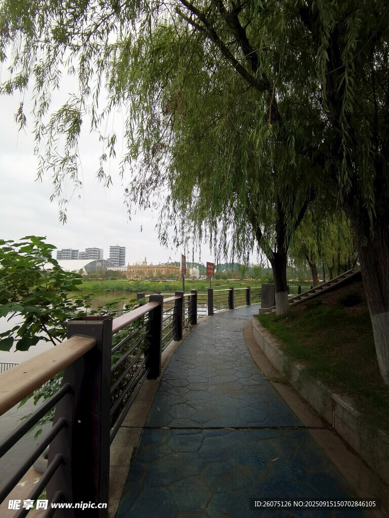 河畔垂柳下的幽靜步道