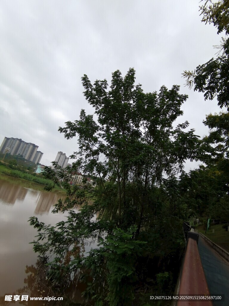 河畔綠樹(shù)與遠(yuǎn)處建筑景觀