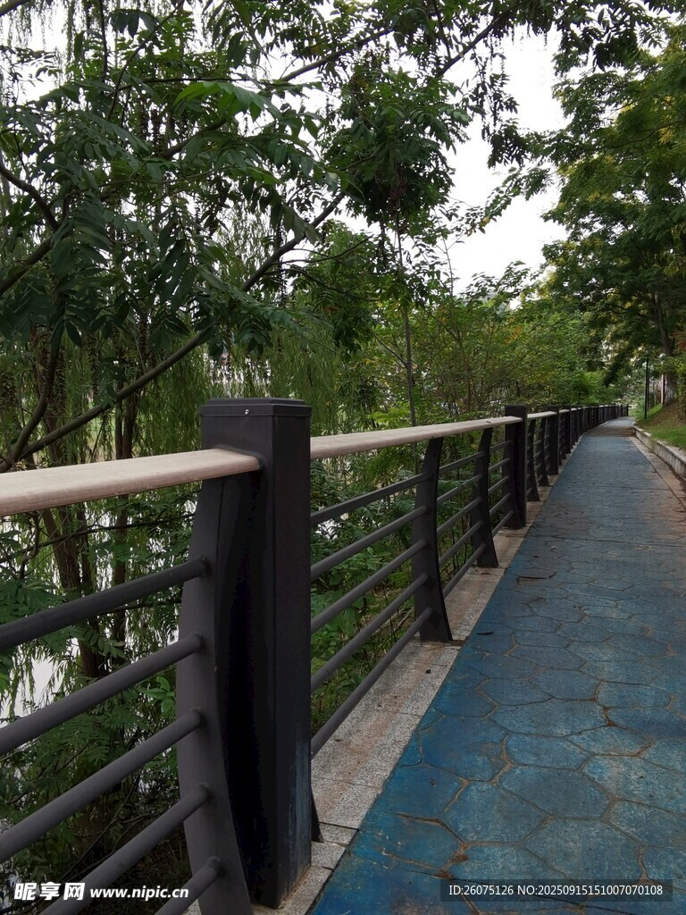 林間藍(lán)色步道靜謐景致