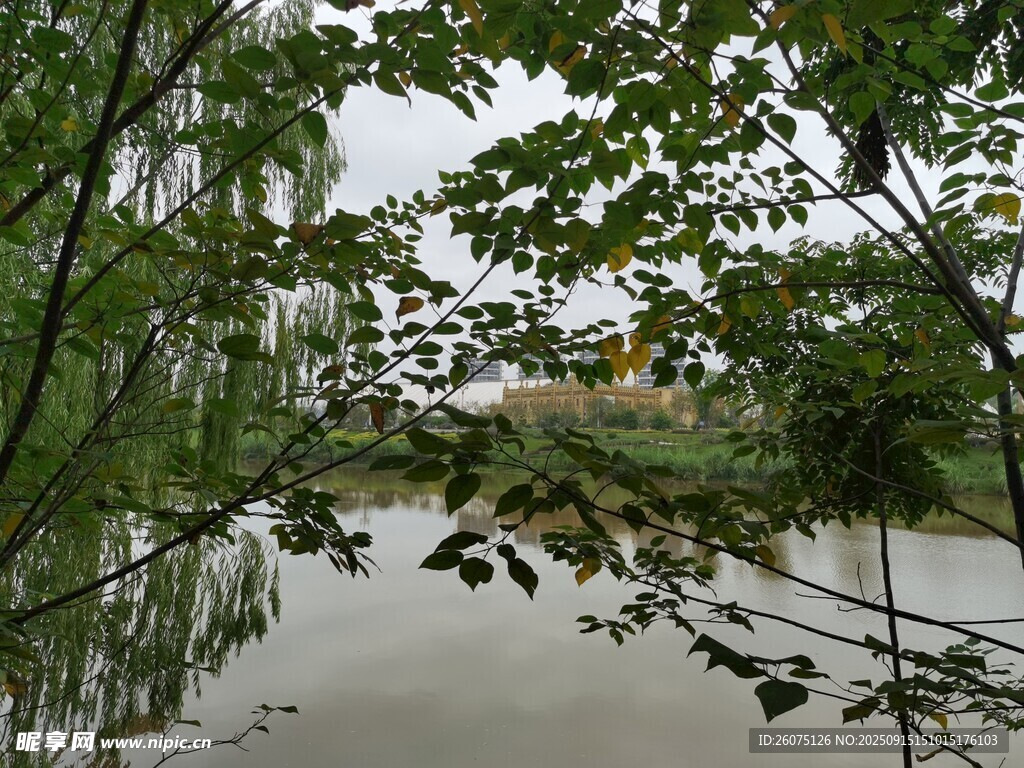 河畔綠樹環(huán)繞的寧靜景象
