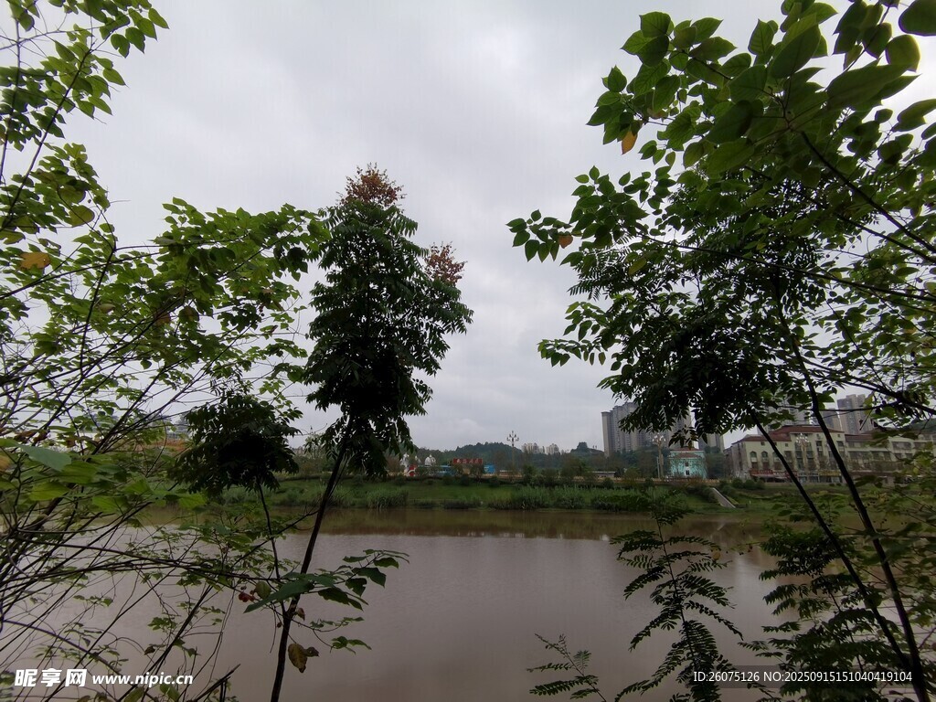 河畔綠樹成蔭的自然景致