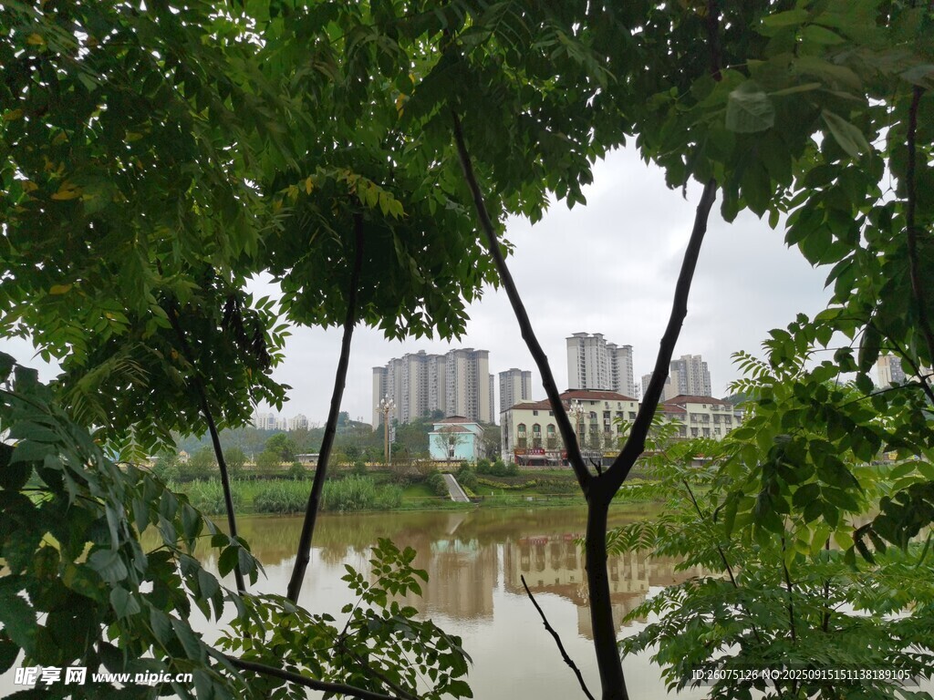 透過綠樹望城市河畔風(fēng)光