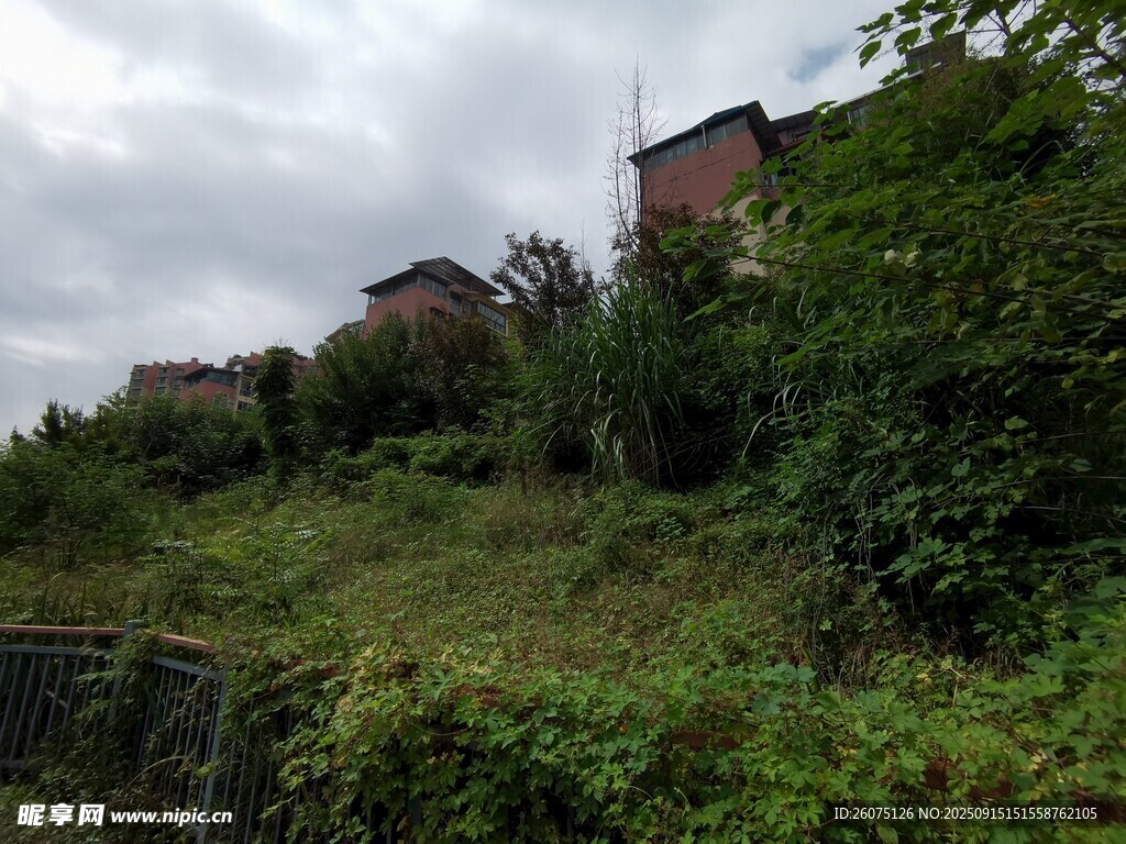 山坡上錯落的房屋與植被