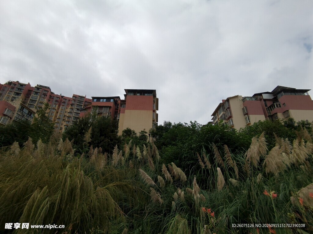 山坡上的古樸建筑群落