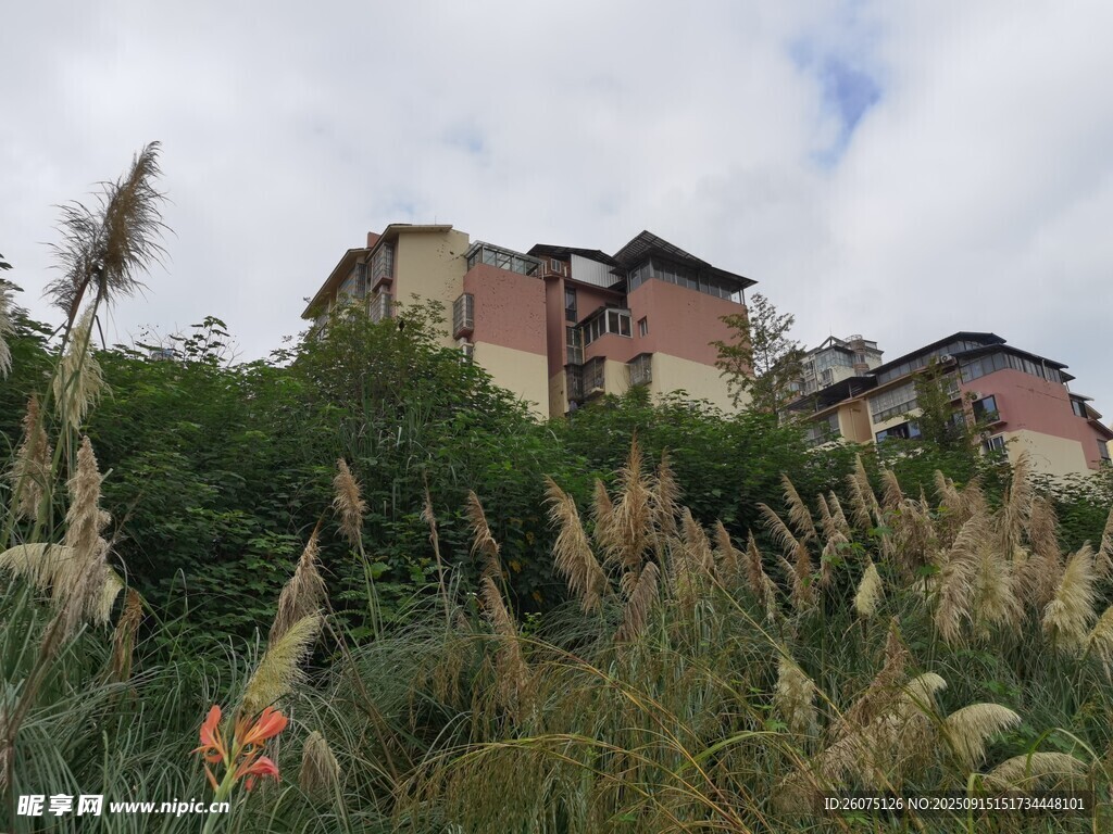 山坡上的建筑與繁茂植被