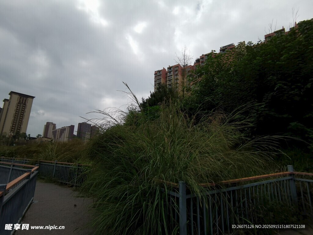城市小徑旁的綠植與建筑