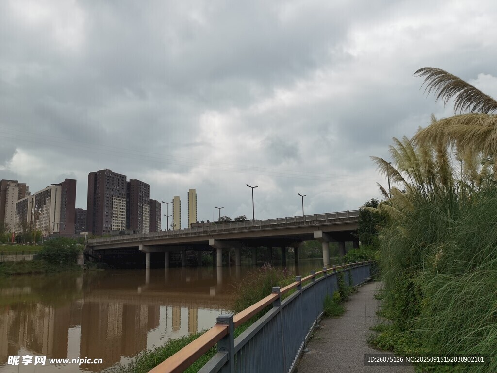 河畔城市景觀陰天下的橋